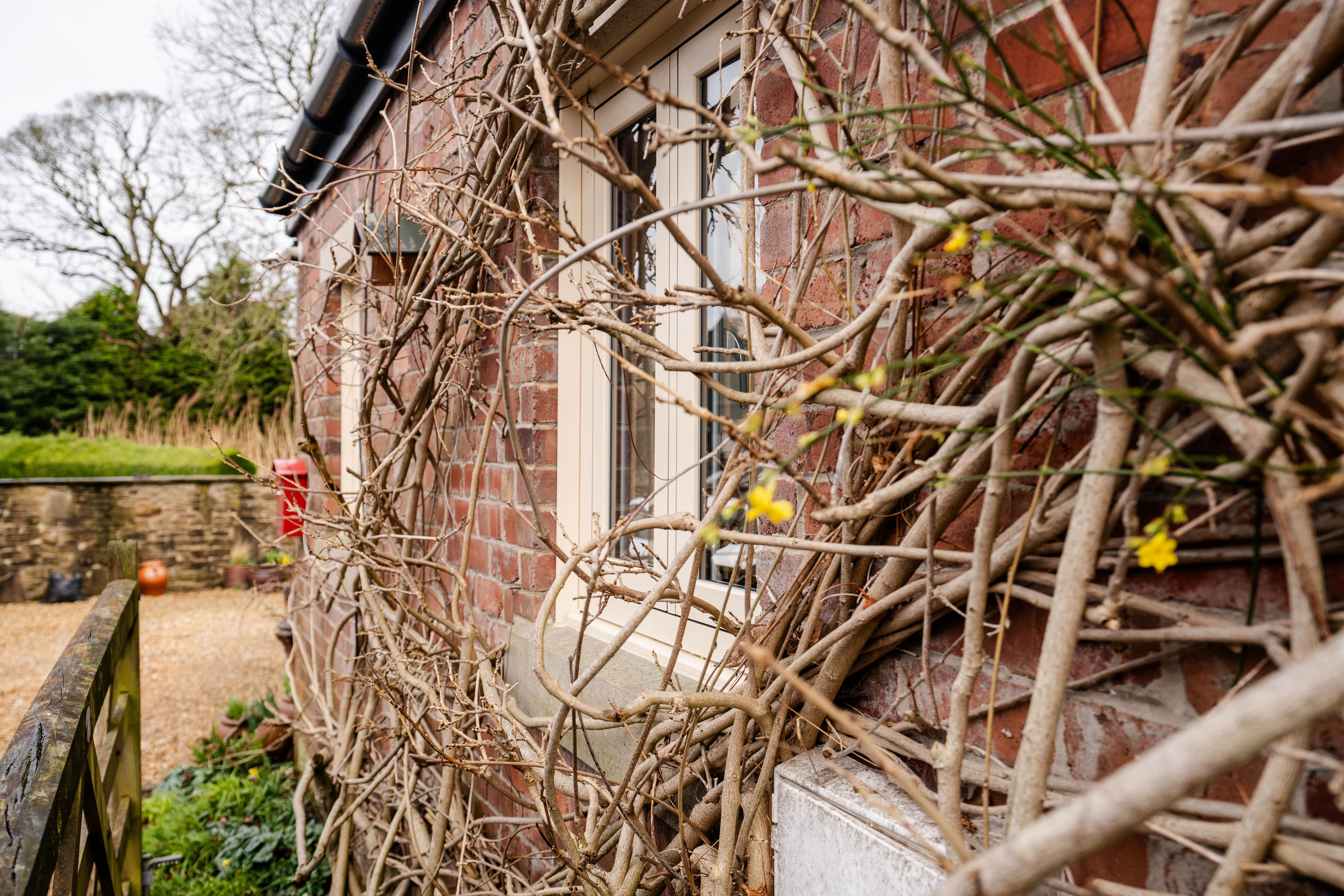How Energy-Efficient Windows Can Keep Your Home Warmer This Winter